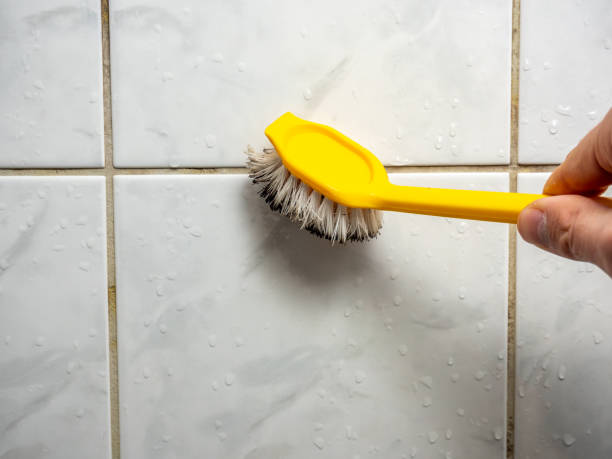 Best Residential Mold Removal  in Searles Valley, CA