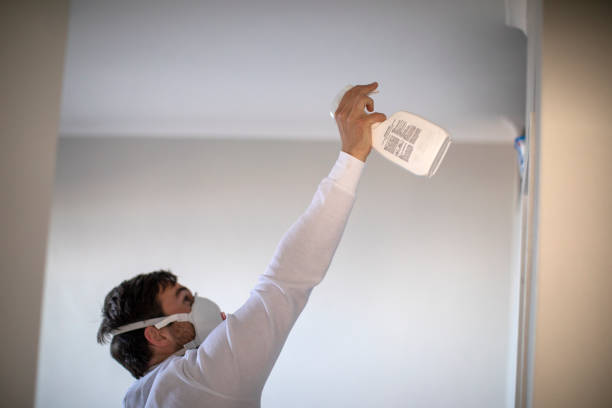 Best Mold Removal Specialists  in Searles Valley, CA