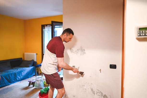 Best Professional Mold Removal  in Searles Valley, CA